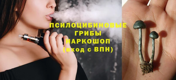 винт Алзамай
