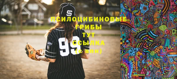 винт Алзамай